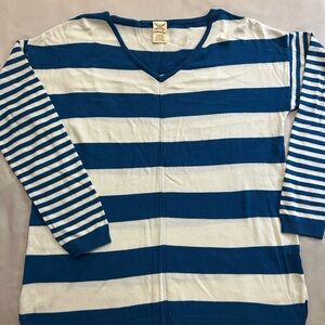 Faded Glory Blue and White V-Neck Top